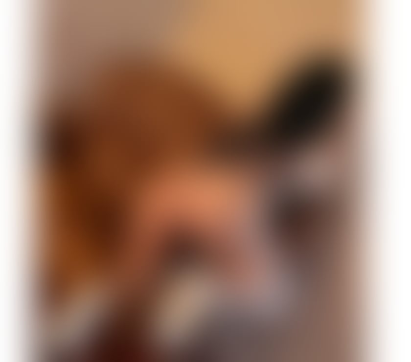 Escorts South Yorkshire Doncaster - Photos for KARLAA💌Inn&Out🌸no rush services