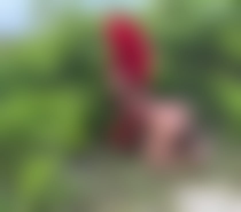 Trans Escorts North London Finchley - North London - Photos for Índia hot XXL 🍆