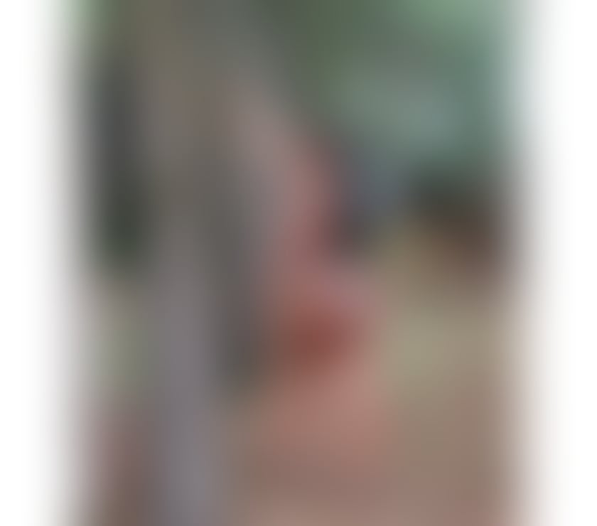 Trans Escorts North London Finchley - North London - Photos for Hot party girl Bruna 🎉 XXL 🍆