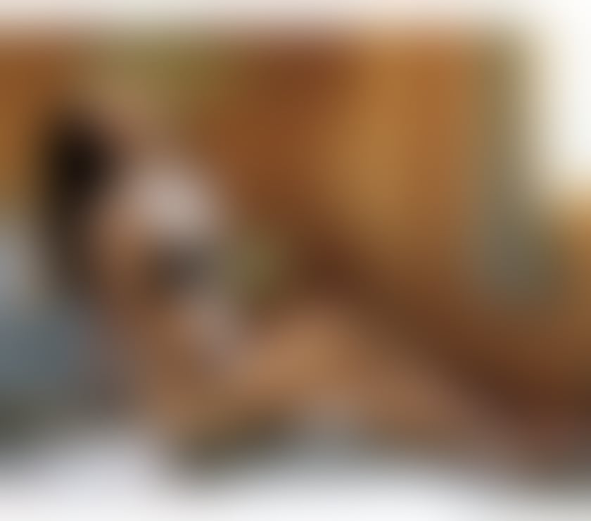 Escorts Leicestershire Charnwood - Photos for Sweet Busty Oriental Girl Ready to Pleased you