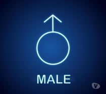 Male masseur for Men!