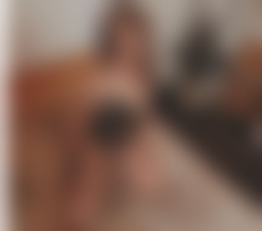 Escorts West Midlands Walsall - Photos for ๐๐LARY๐๐...๐๐NEW IN TOWN๐๐