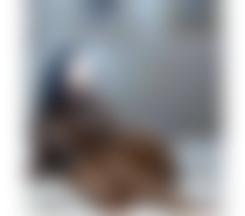 Escorts Hampshire Basingstoke and Deane - Photos for 🌸Body2Body Massage🌸-Sexy and Naughty💋❤️