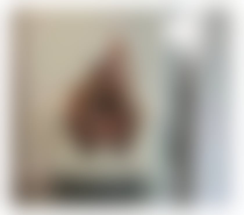 Escorts West Yorkshire Leeds - Photos for 🌡️Hot and stupendous girl just arrived 😘