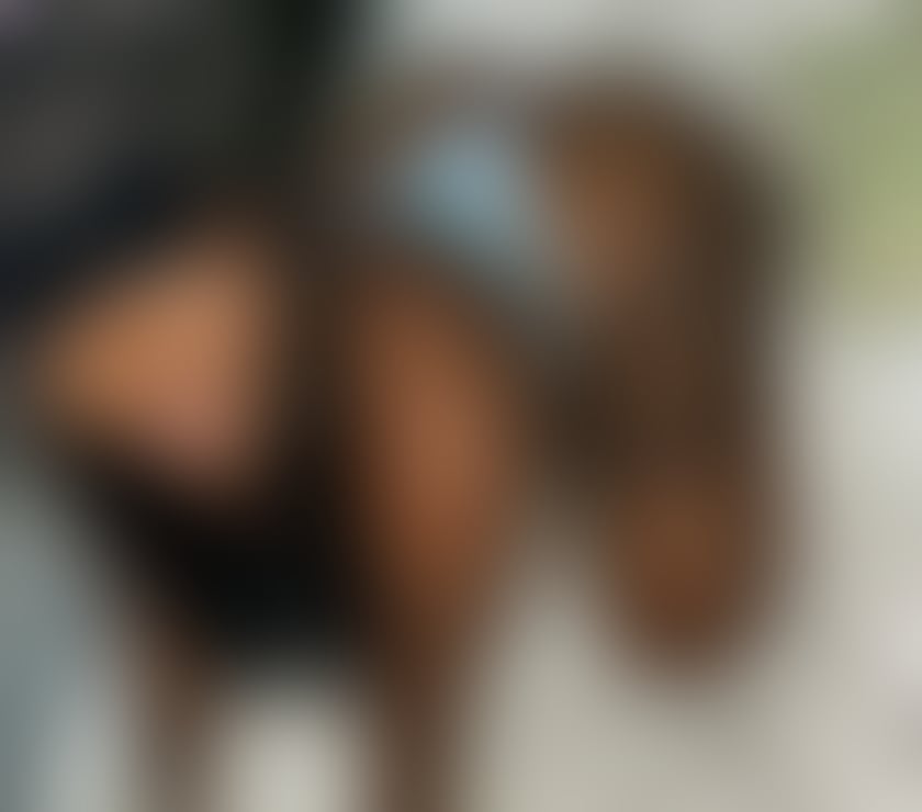 Escorts West Midlands Birmingham - Photos for ❤️BIG BOOBS AND ASS EBONY PARTY GIRL❤️