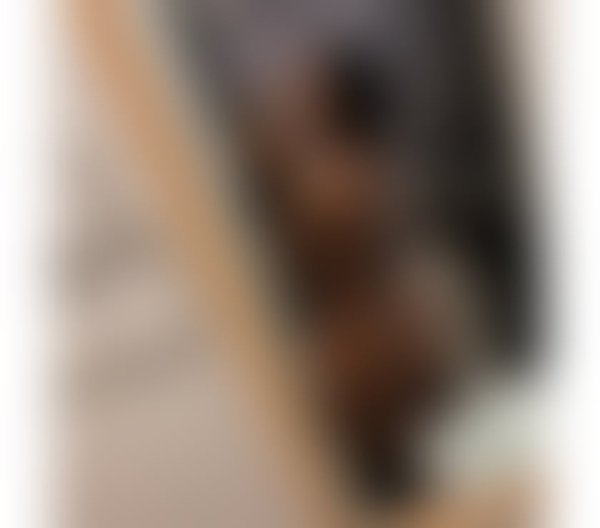 BELLA ‼️ NEW ‼️ THE BEST EBONY 🥂