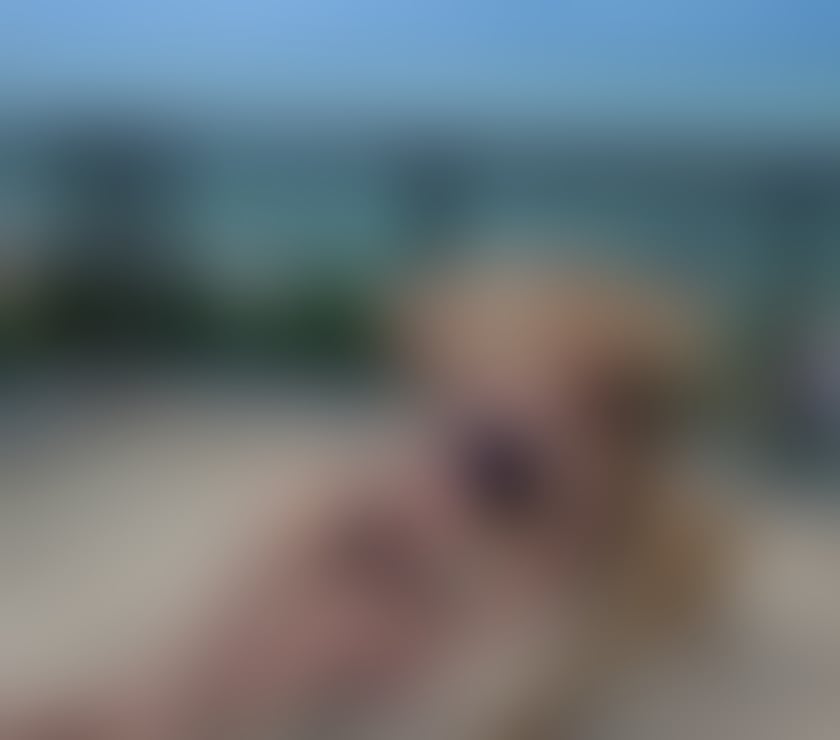 Trans Escorts Leicestershire Leicester - Photos for Lara Souza, from Brazil 🇧🇷 100% real 🥳