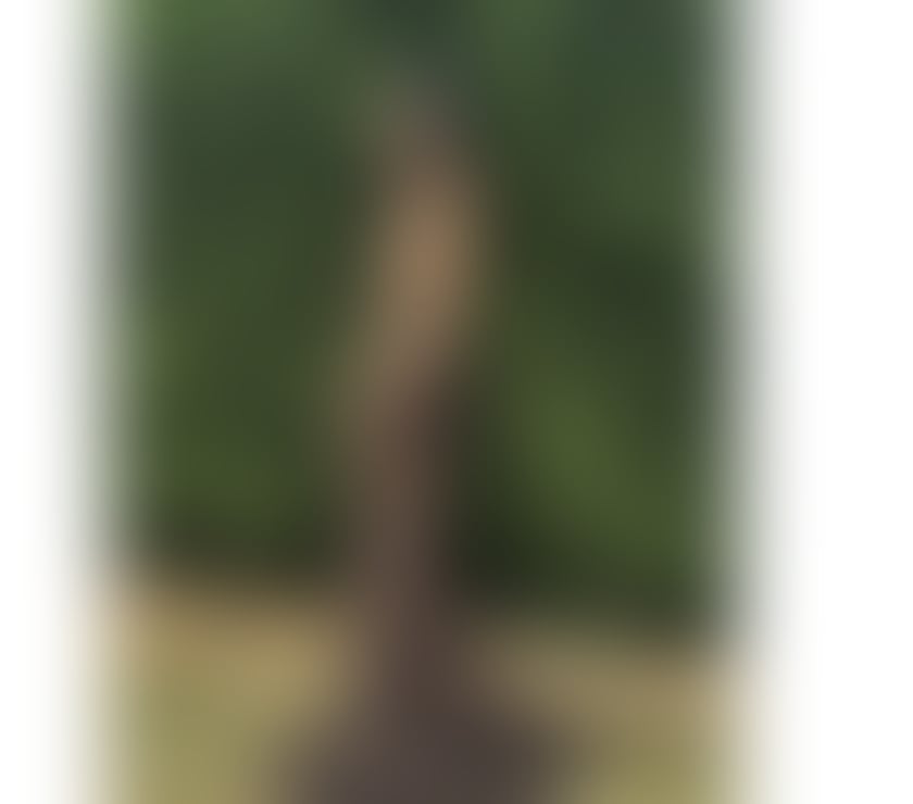 Escorts Kent Canterbury - Photos for Hello. Gentlemen sexy Thailand ❤️