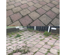 Garden Maintenance services