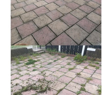 Other Services Belfast City Centre (South) Belfast - Photos for Garden Maintenance services
