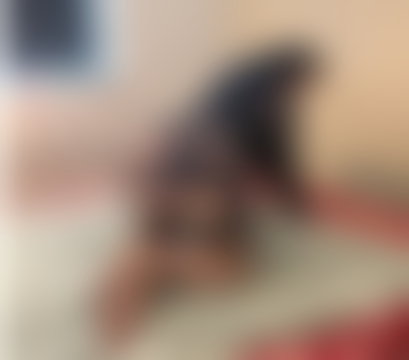 Escorts Greater Manchester Manchester - Photos for STUNNING LEBANESE❤️BEST SERVICE🔞NO RUSH✅️