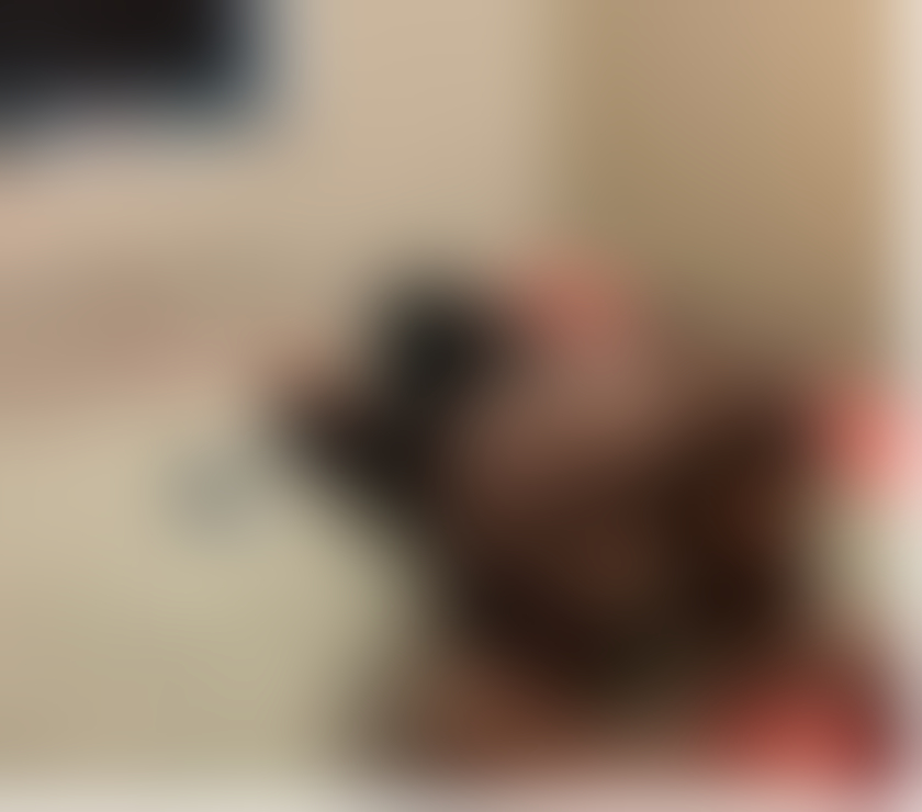 Escorts Greater Manchester Manchester - Photos for STUNNING LEBANESE❤️BEST SERVICE🔞NO RUSH✅️