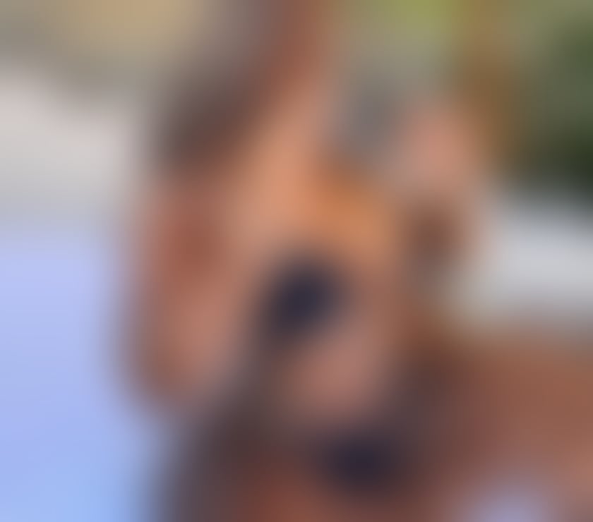 Escorts North West London Harrow - Photos for 🔥STUNNING CUBA EBONY🔥 GD SERVICES😋 INCALL