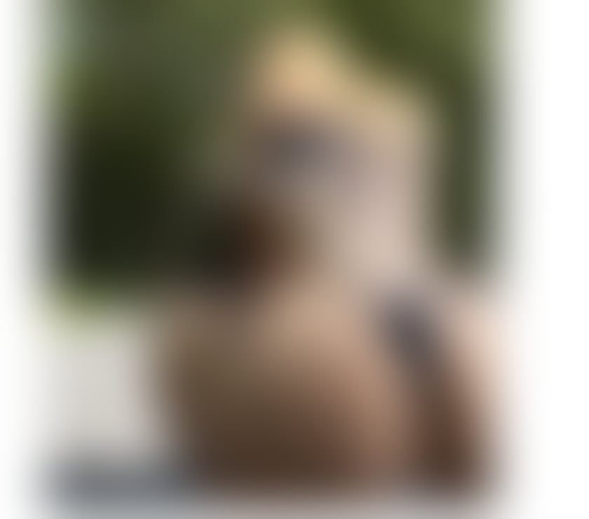 Escorts West Northamptonshire Northampton - West Northamptonshire - Photos for ANNE BEST EXPERIENCE ππ₯ PARTY π₯³ππ§π·