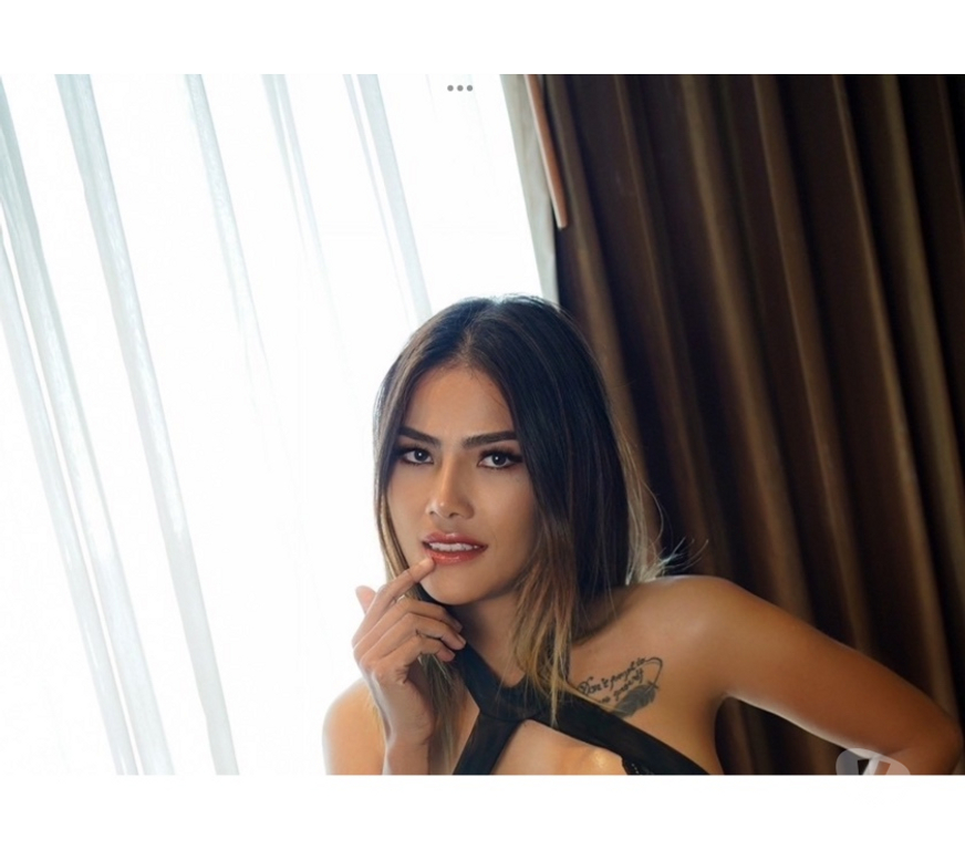 Escorts Essex Colchester - Photos for Cindy beautiful Thai girl 🥰💋Real pic100%