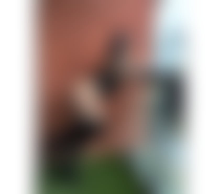 Trans Escorts South Yorkshire Sheffield - Photos for MAYA MARIIAH XLL BRAZILIAN