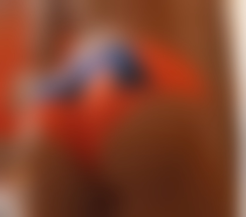  Gay massage Hampshire Southampton - Photos for GIRLY BOY BIG BUM