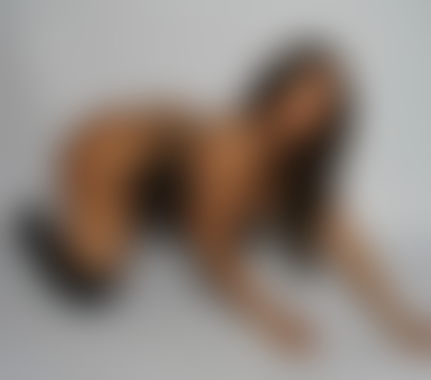 Escorts South East London Croydon - Photos for MONSERRAT BEATIFULL PARTY