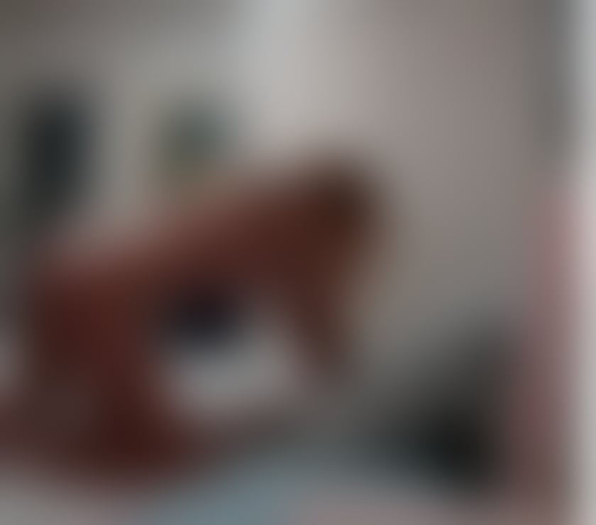 Escorts Dundee Dundee City Centre - Dundee - Photos for Experience Mature Woman, Sexy Curves