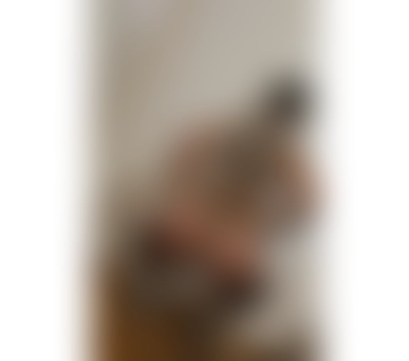 Escorts Cambridgeshire Cambridge - Photos for Helen ❣️ recently photos💯❣️❣️