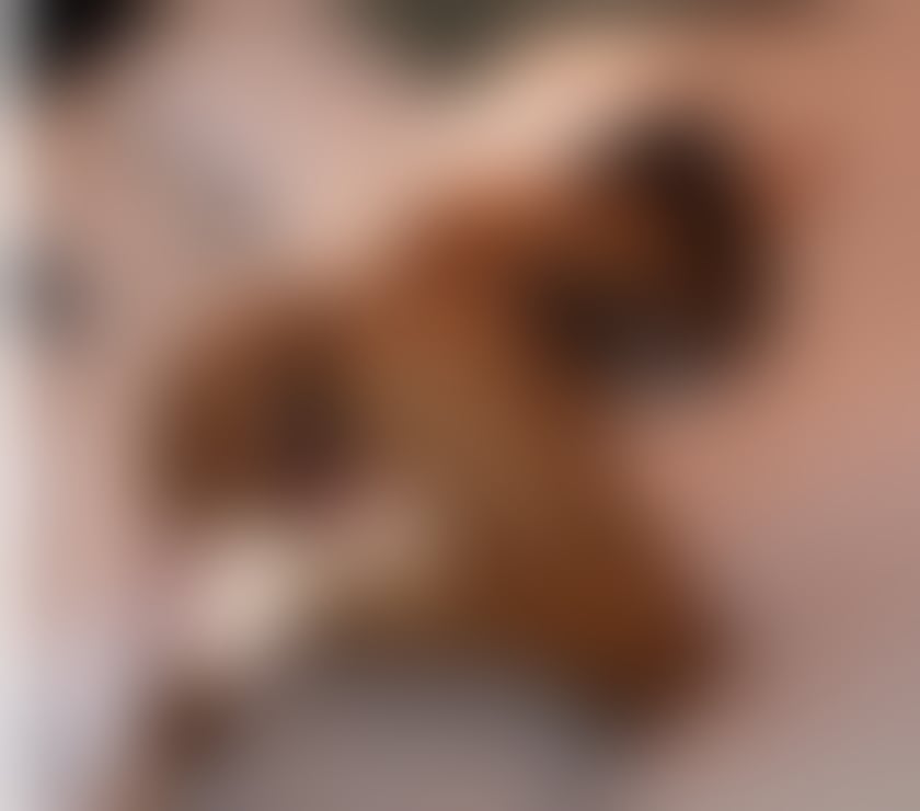 Escorts Kent Gravesham - Photos for 💕🍑Busty Kelly♥️Tantric OWO 🍯NO RUSH 💕