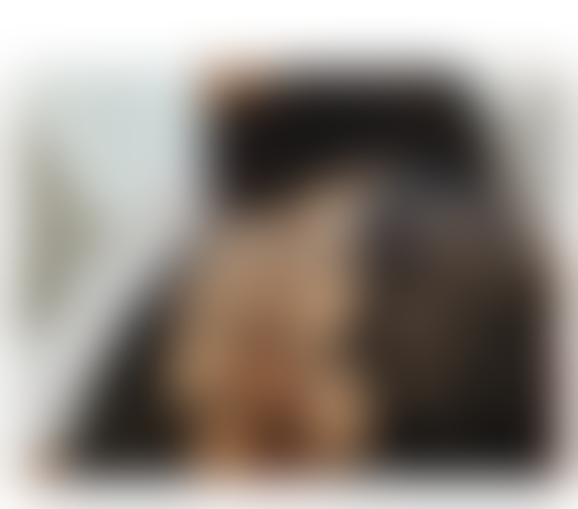 Escorts West Midlands Birmingham - Photos for GENISIS NOW IN TOWN BIG TITS GFE OWO PARTY