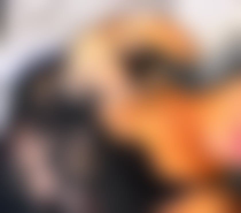 Escorts Neath Port Talbot - Wales Port Talbot - Neath Port Talbot - Photos for tinny 3.7 my first time here🍯 come have fun 🇧🇷