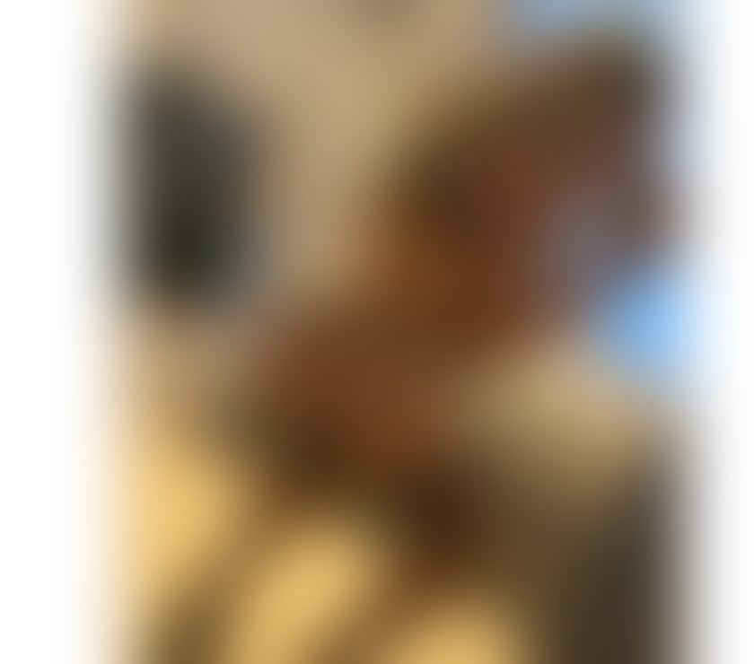 Trans Escorts Surrey Woking - Photos for Babe back 100% real