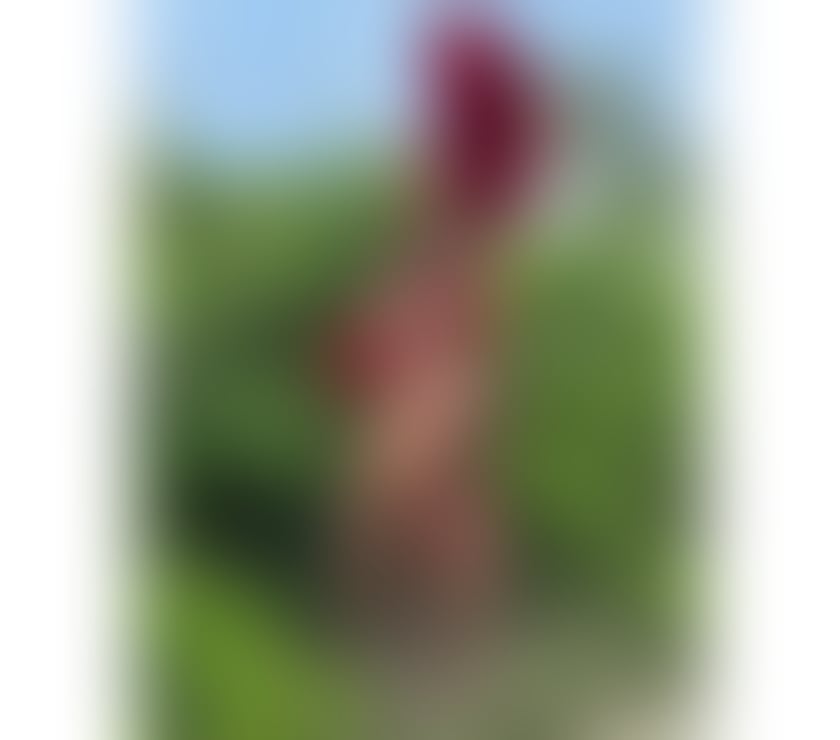 Trans Escorts South East London Croydon - Photos for Índia hot XXL🍆