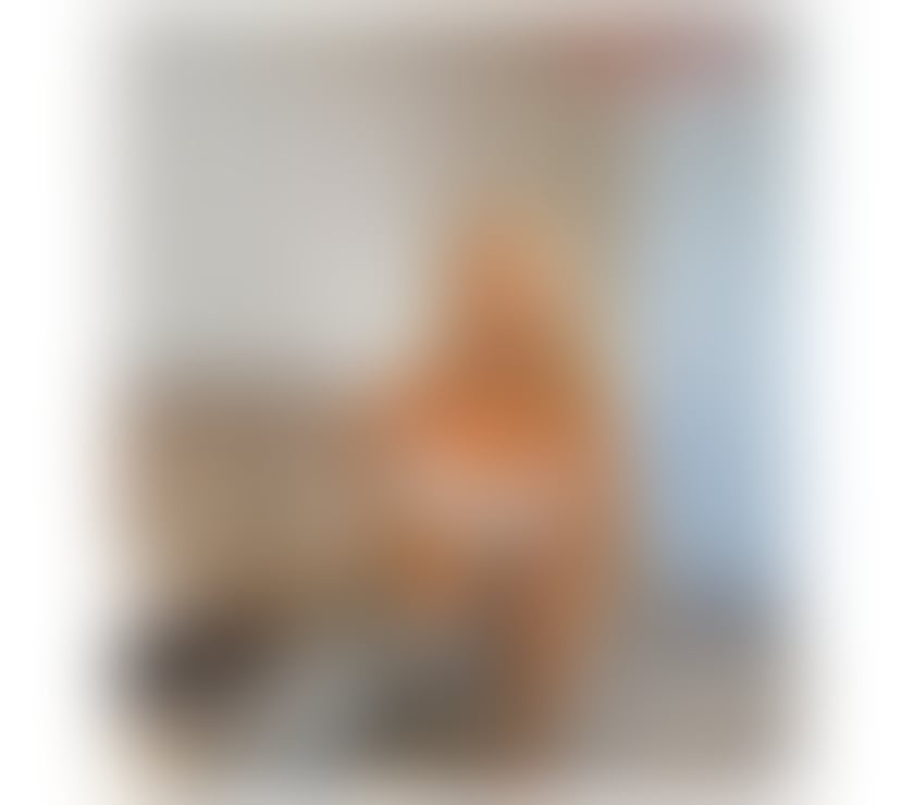 Escorts Devon Torbay - Photos for 🍑🍑 new sexy girl in your Town 🍑🍑