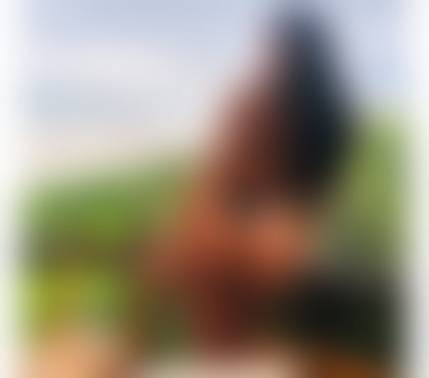 Escorts Hull Hull City Centre - Hull - Photos for DUO PARTY BRAZILIAN GIRLS😈🥂🍾 GOOD SERVICE