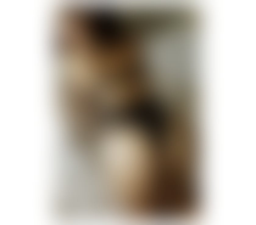 Escorts West Midlands Dudley - Photos for INDEPENDENT AMY ASIAN THAI THAILAND 07397776556