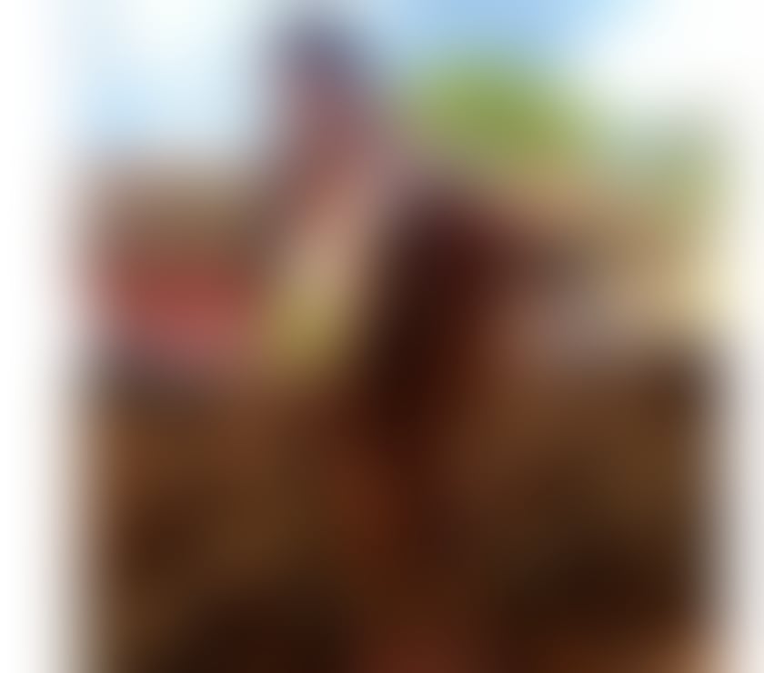 Escorts Hampshire Rushmoor - Photos for 🔥 HOT ❣️ BIA 👅 OWO FETISH 🍒PARTY GIRL