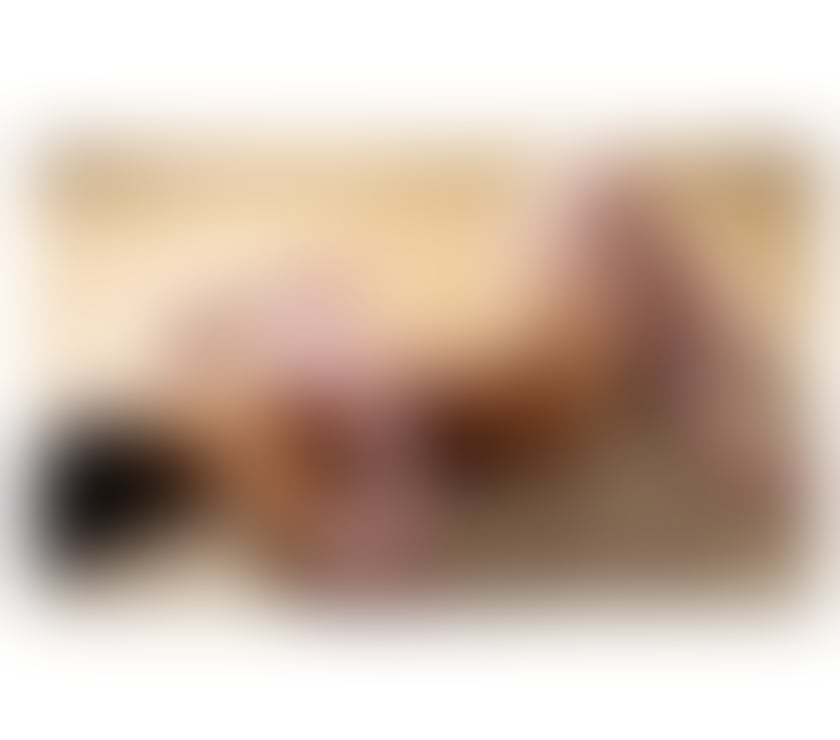 Escorts Worcestershire Worcester - Photos for BEATRICE 🫦BEST SERVICE‼️NO RUSH💯