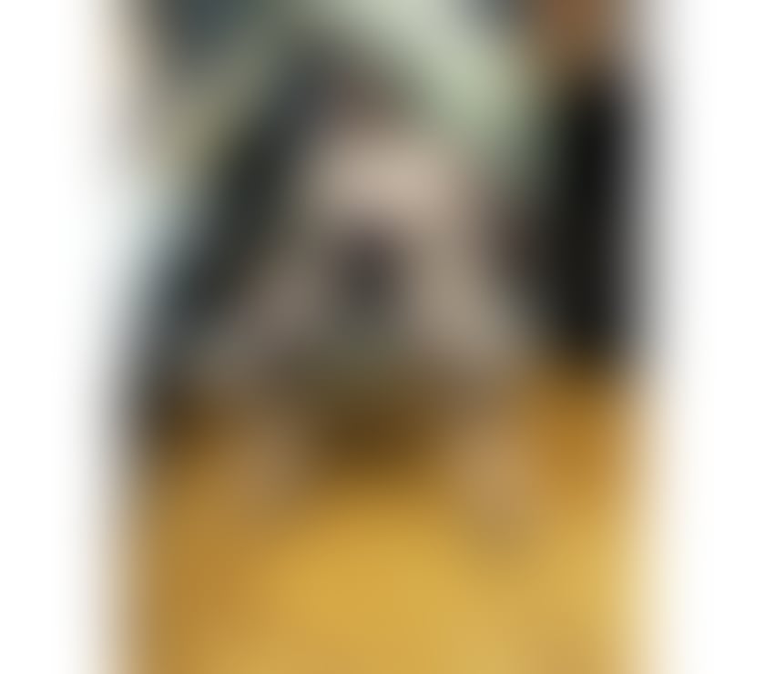 Escorts East London Newham - Photos for 💎New in town Carla party💎