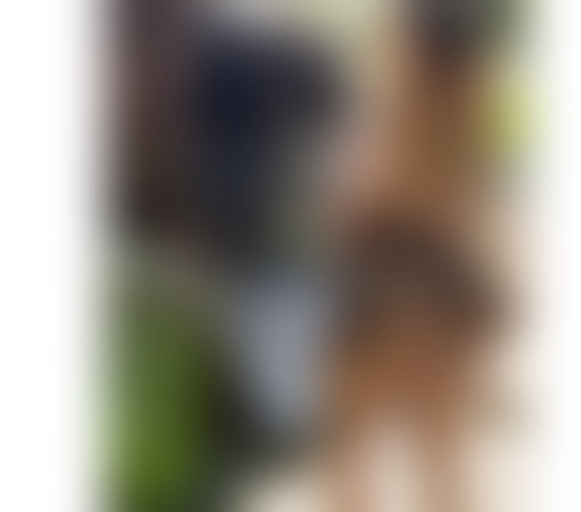 Escorts West Yorkshire Bradford - Photos for BIG ASS 💕 COLOMBIAN 💕OwO and Party 💕🎉