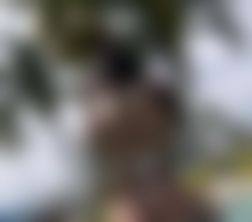 Escorts Ealing Southall - Ealing - Photos for 🦋AMELIA🦋GIRL EBONY AMAZING♥️BIGASS🍑PIC REAL💯