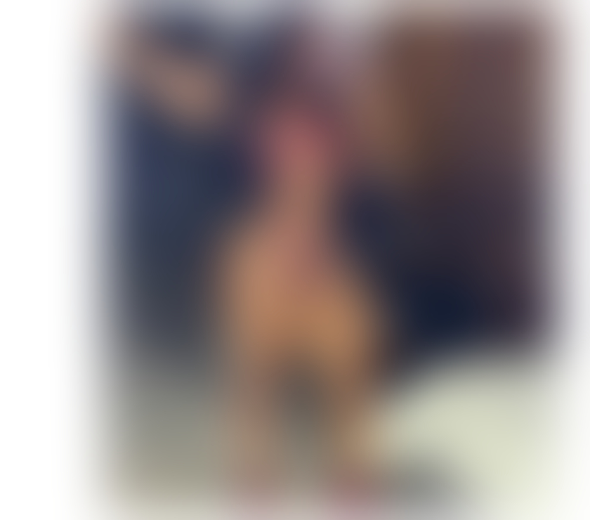 Escorts Reading Reading Town Centre - Reading - Photos for BOMBSHELL🔥💋KISS-OWO💯A- LEVEL GOOD SERVICES