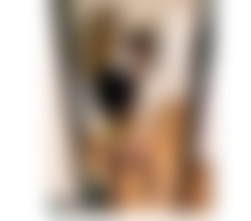 Trans Escorts East Sussex Brighton - Photos for Maria_Lia_anal_queen_very_cum