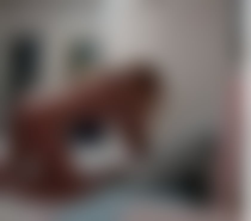 Escorts Aberdeen Aberdeen City Centre - Aberdeen - Photos for Experience Mature Woman, Sexy Curves