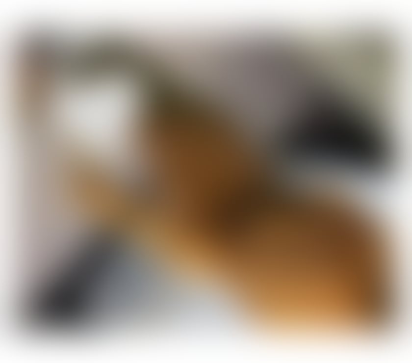 Escorts Staffordshire Stoke-on-Trent - Photos for Hi i’m New Here‼️ You won't regret it.💎 2days here