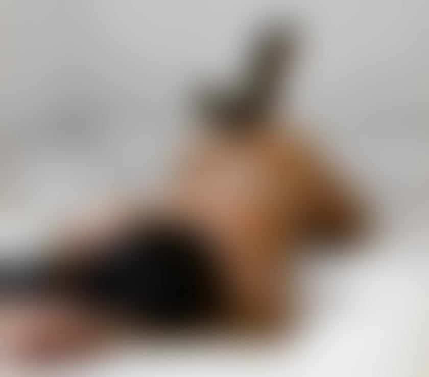 Trans Escorts North West London Brent Park - North West London - Photos for TS🌸HOT GIRL 🔥 ATTRACTIVE🥰 REAL ⭐️ PARTY 🍭