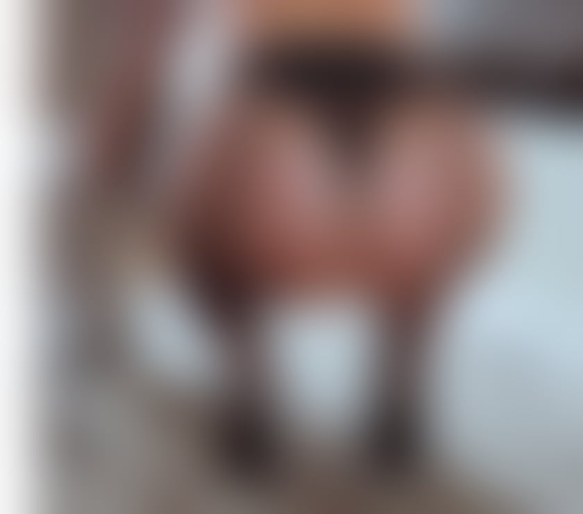 Escorts Staffordshire Stoke-on-Trent - Photos for NAUGHTY ENGLISH LADY IN TOWN ❤️
