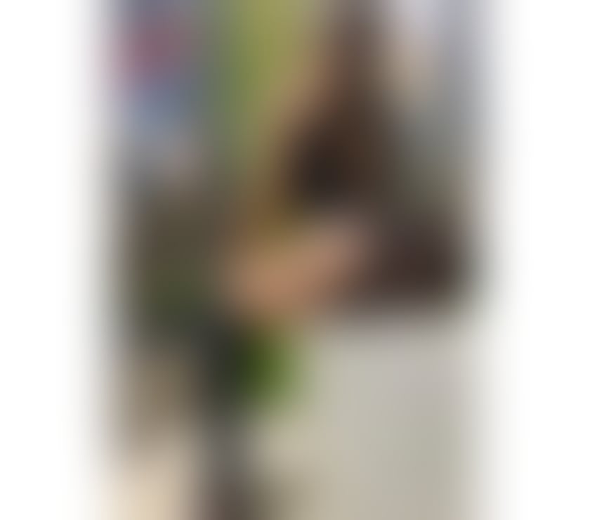 Escorts Hampshire Southampton - Photos for WONDERFUL BIANCA BRAZILIAN THE BEST SERVICE