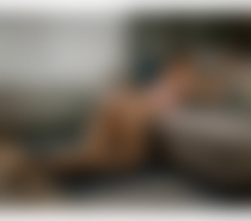 Escorts Stirling Stirling City Centre - Stirling - Photos for KARINNY 🇧🇷 HOT BRAZILIAN🇧🇷