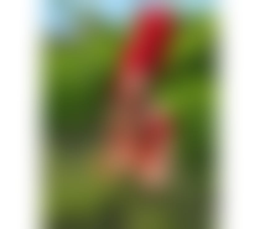 Trans Escorts North London Finchley - North London - Photos for hot xxl milk horse Indian๐