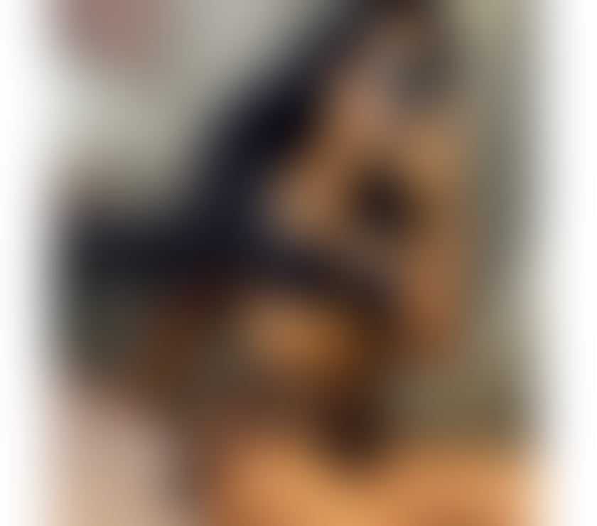 Escorts Worcestershire Worcester - Photos for Verified ❤️Hot emily❤️only outcalls