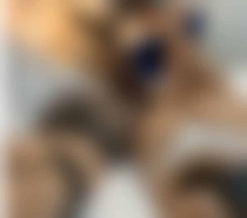 Escorts Leicestershire Leicester - Photos for BRUNETT BRAZILIANS 🇧🇷🔥🍑