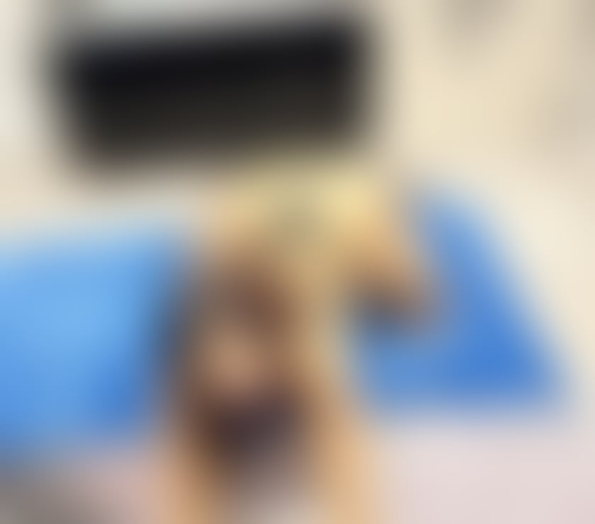 Trans Escorts East London Walthamstow - East London - Photos for Hi I am a transsexual escort For more details call me