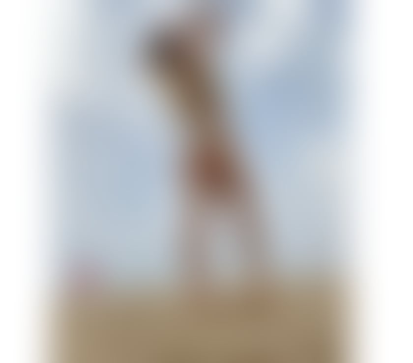 Escorts Oxfordshire Cherwell - Photos for Kerry 🧸new here 🎆student📚look for fun📞